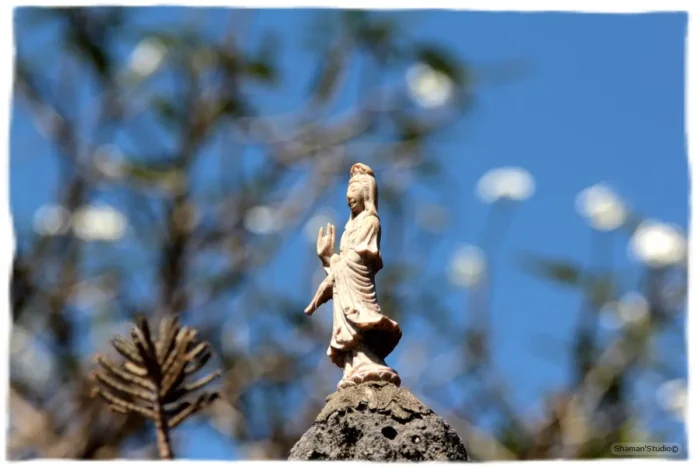 Хой Ан (Hoi An). Любовь с первого взгляда...