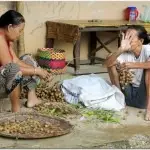 Лаос. Сезон дождей