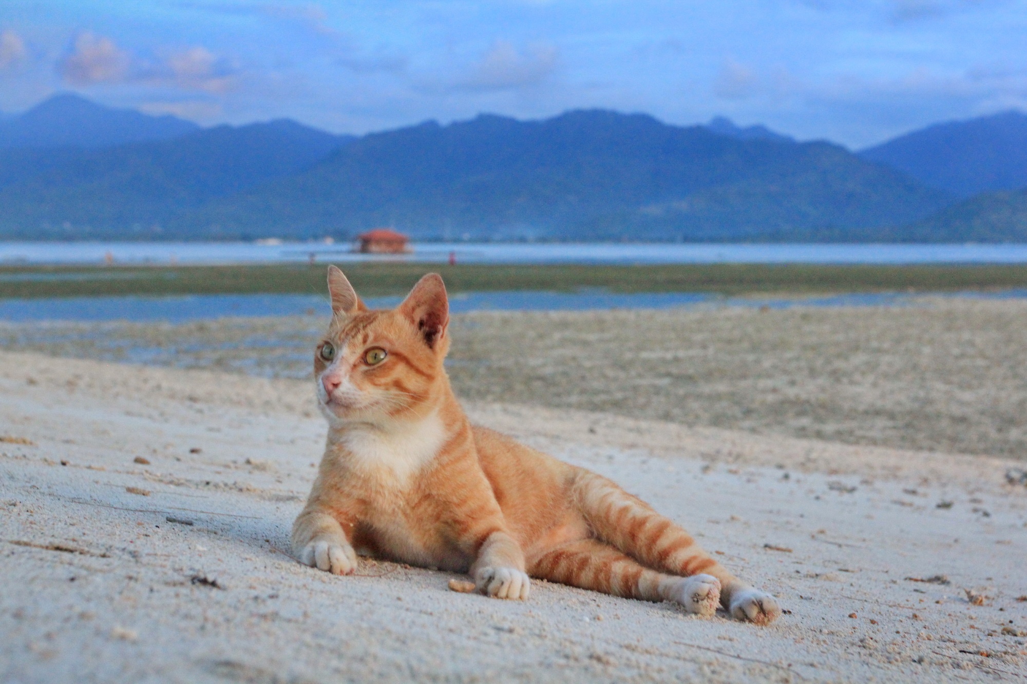 Остров Гили Аир